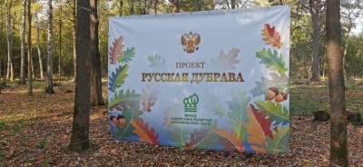 «Сайбер Электро» возрождает Заповедную дубраву на территории Главного ботанического сада страны!