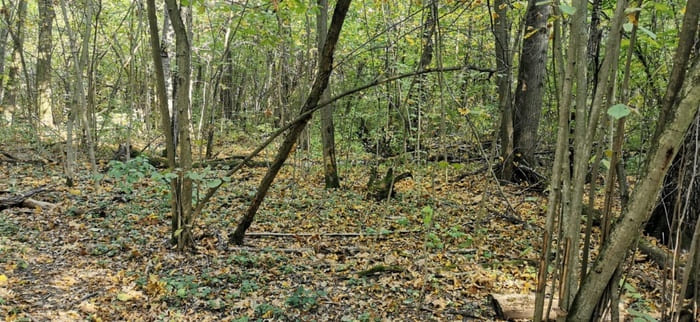 чистка зоны с Сайбер Электро чистка зоны с Сайбер Электро